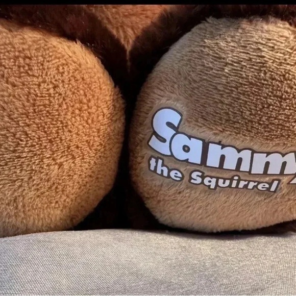 2/40$ Build A Bear Great Wolf Lodge Sammy The Squirrel Plush Stuffed Animal - Picture 2 of 4